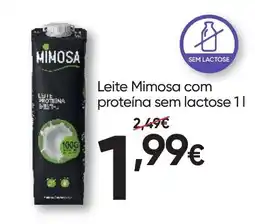 Froiz Leite mimosa com proteína sem lactose promoção