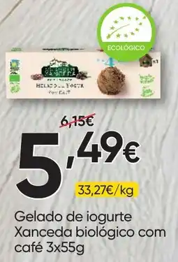 Froiz Gelado de iogurte Xanceda biológico com café promoção