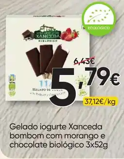 Froiz Gelado iogurte xanceda bombom com morango e chocolate biológico promoção