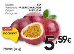 Froiz Maracujá promoção