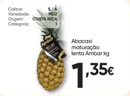 Froiz Abacaxi maturação lenta ambar promoção
