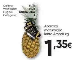 Froiz Abacaxi maturação lenta Ambar promoção