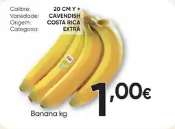 Froiz Banana promoção
