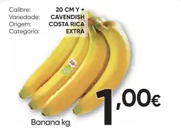 Froiz Banana promoção