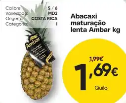 Froiz Abacaxi maturação lenta Ambar promoção