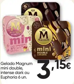 Froiz gelado magnum mini double promoção