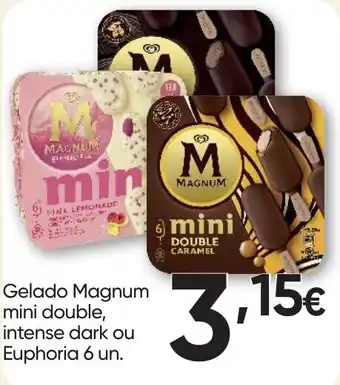 Gelado magnum mini double