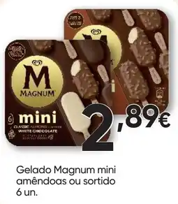 Froiz Magnum mini amêndoas ou sortido promoção
