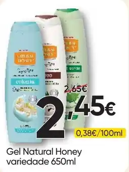 Froiz Gel Natural Honey variedade 650ml promoção