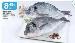 Intermarché Dourada de viveiro promoção