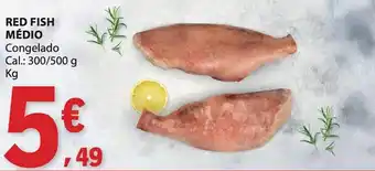E.Leclerc Red fish médio promoção