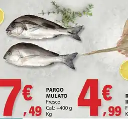 E.Leclerc Pargo mulato promoção