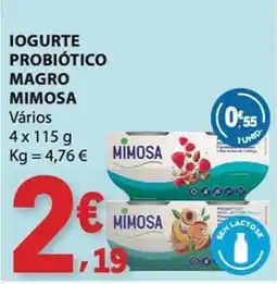 E.Leclerc Iogurte probiótico magro mimosa promoção