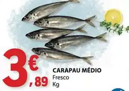 E.Leclerc Carapau Médio promoção
