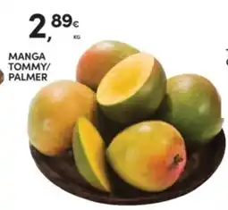 Continente Manga tommy/palmer promoção