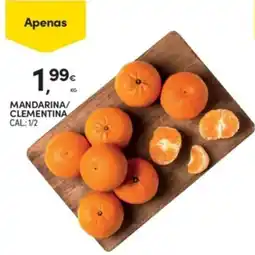 Continente Mandarina/clementina promoção