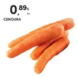 Continente cenoura promoção