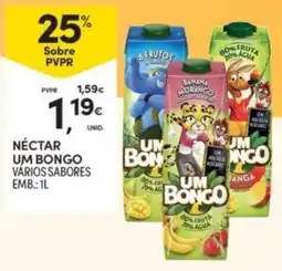 Continente Néctar um bongo vários sabores promoção