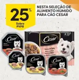 Continente Nesta seleção de alimento humido para cão cesar promoção