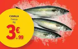 E.Leclerc Cavala fresca promoção