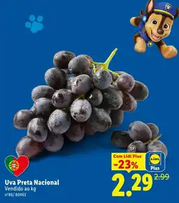 Lidl Uva Preta Nacional promoção