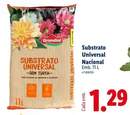 Lidl Grandiol substrato universal nacional promoção