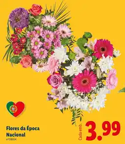 Lidl Flores da Época Nacional promoção