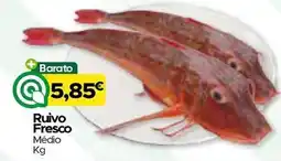Supermercados Preços Baixos Ruivo Fresco Médio promoção
