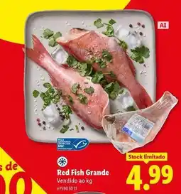 Lidl Red fish grande promoção