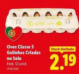 Lidl Ovos classe s galinhas criadas no solo promoção