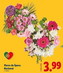Lidl Nacional - flores da época promoção