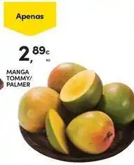 Continente Bom dia Manga tommy promoção