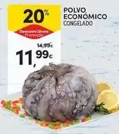 Continente Bom dia Polvo economico promoção