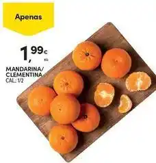 Continente Bom dia Mandarina/clementina promoção