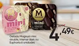Froiz Gelado magnum mini double, intense dark ou euphoria promoção