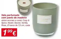 ALDI Vela perfumada com pavio de madeira cosy & spice promoção