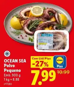 Lidl Ocean Sea Polvo Pequeno promoção