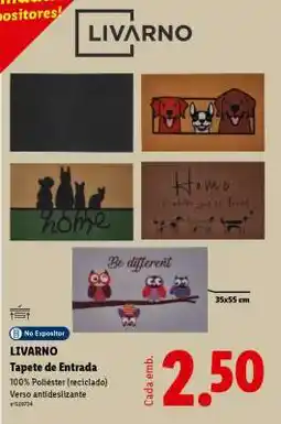 Lidl LIVARNO promoção