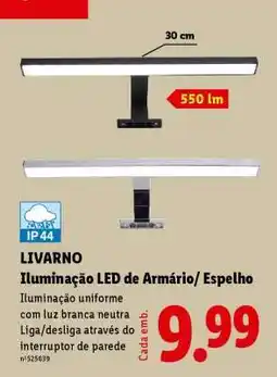 Lidl LIVARNO promoção