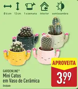 ALDI gardenline® mini catos em vaso de cerâmica promoção