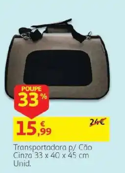 Auchan Transportadora p/ Cão Cinza promoção