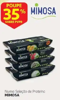 Auchan Numa Seleção de Proteína Mimosa promoção