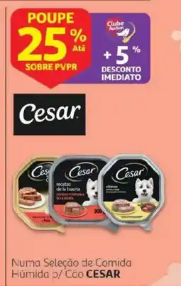 Auchan Numa Seleção de Comida Húmida p/ Cão CESAR promoção