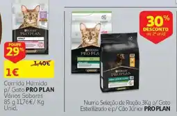 Auchan comida húmida p/ gato pro plan promoção