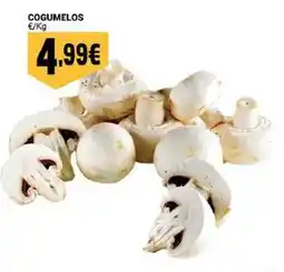 Neomáquina Cogumelos promoção
