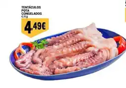 Neomáquina Tentáculos pota congelados promoção