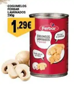 Neomáquina Cogumelos laminados ferbar promoção