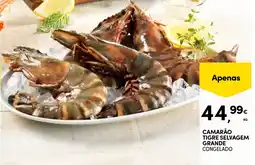 Continente Camarão tigre selvagem grande promoção