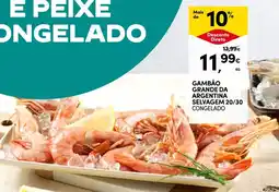 Continente Gambão grande da argentina selvagem 20/30 promoção
