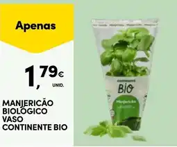 Continente Manjericão biologico vaso continente bio promoção